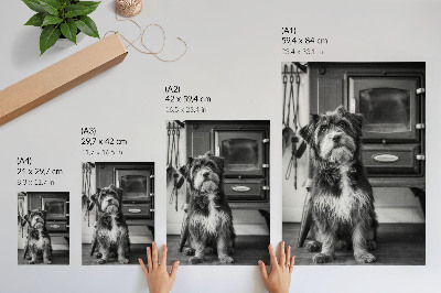 Dekoratyvinis plakatas Ramus juodai baltas šuo prie senos krosnies