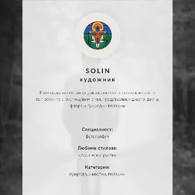 Plakatas šviesūs karčiai, rudas kailis ir Islandijos arklys