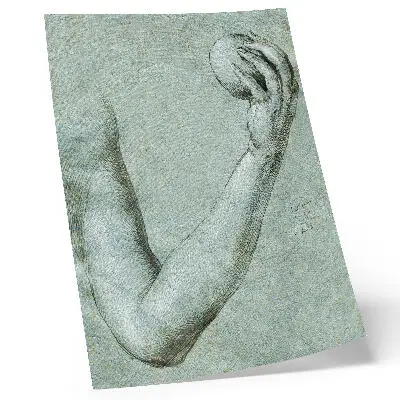 Plakatas „Ievos ranka“, Albrechtas Diureris 1507 metų reprodukcija