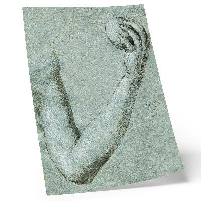 Plakatas svetainei Ievos ranka (1507), Albrechtas Diureris