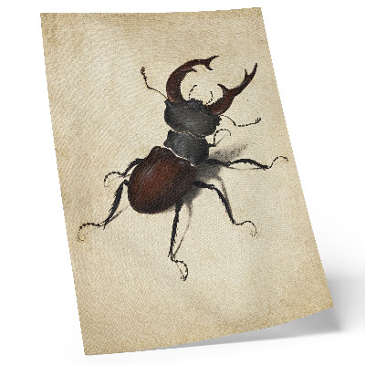 Plakatas Albrechto Dürerio „Elniavabalis“ (1505 m.)