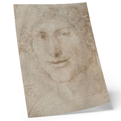 Sieninis plakatas Albrechto Dürerio „Jauno vyro galva“ (1503 m.)