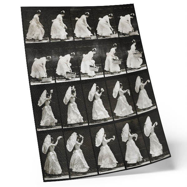 Plakatas Moteris, kelianti krepšį ir mojuojanti nosine (1887 m.) – Eadweardo Muybridge'o nuotrauka