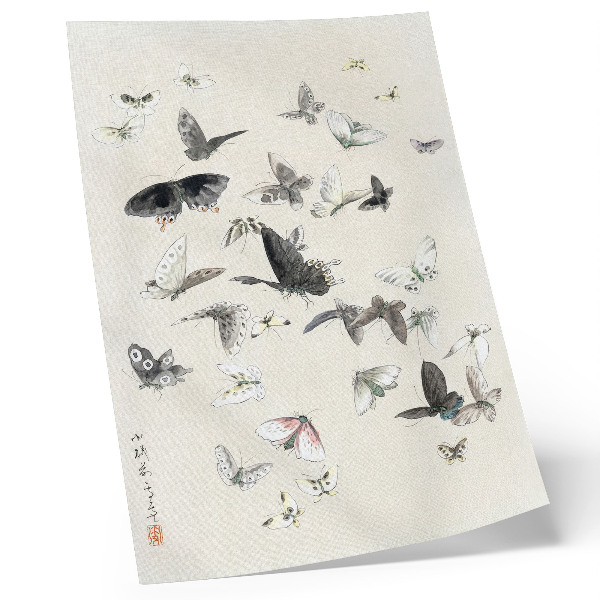 Plakatas Hokusai drugeliai ir kandys