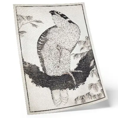Plakatas svetainei Katsushiko Hokusai „Paukštis iš eskizų albumo“ (1814 m.), senovinis japoniškas medžio raižinys
