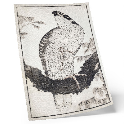 Plakatas svetainei Katsushikos Hokusai „Paukštis iš eskizų albumo“ (1814 m.), senovinis japoniškas medžio drožinys