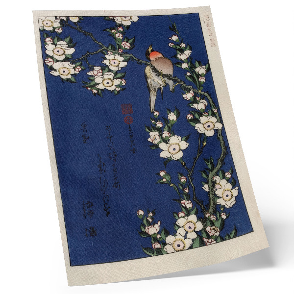 Plakatas svetainei Katsushika Hokusai (1760-1849), Robinas ant vyšnių žiedų