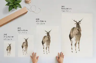 Plakatas Katsushiki Hokusai elnias (1904 m.), vintažinė gyvūno iliustracija