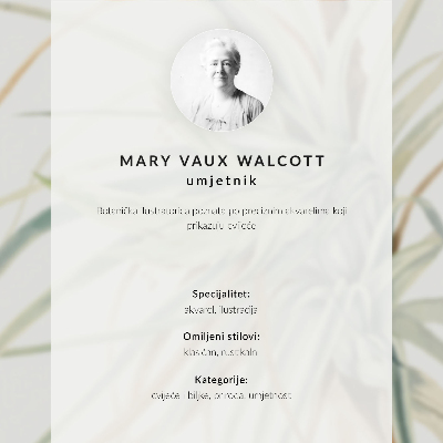 Plakatas Laukinis ananasas (Tillandsia fasciculata) (1921 m.), autorė Mary Vaux Walcott