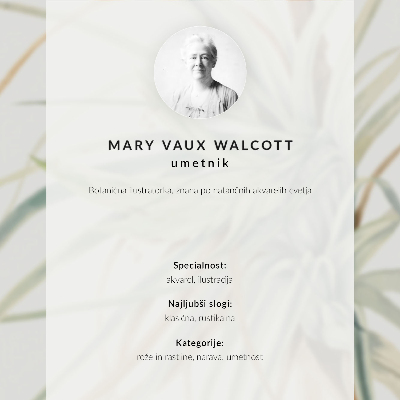 Plakatas Laukinis ananasas (Tillandsia fasciculata) (1921 m.), autorė Mary Vaux Walcott