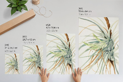 Plakatas Laukinis ananasas (Tillandsia fasciculata) (1921 m.), autorė Mary Vaux Walcott