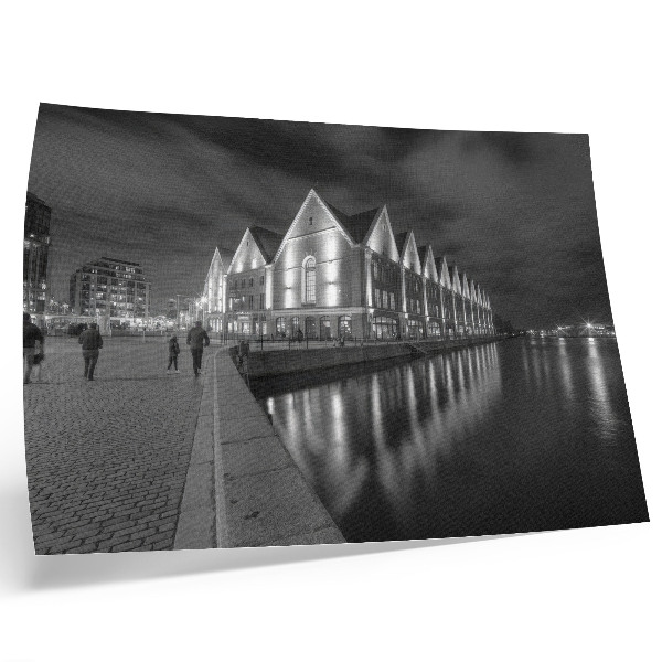 Plakatas ant drobės Monochromatinė architektūra su atspindžiu vandenyje