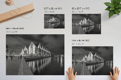 Plakatas ant drobės Monochromatinė architektūra su atspindžiu vandenyje