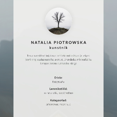 Plakatas ant drobės Minimalistinis žiemos namas sniego fone
