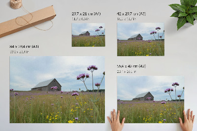 Plakatas Kaimo tvarto violetinių ir geltonų gėlių pieva