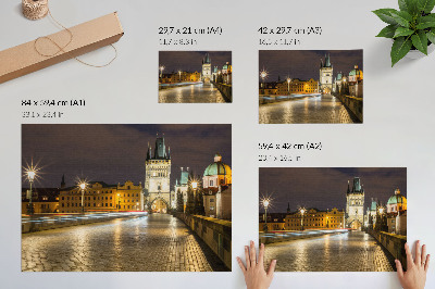Plakatas ant drobės Žavingas naktinis miestas, apšviestas tilto architektūra