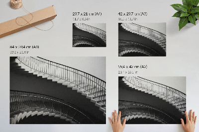 Spauda ant drobės Juodai balta elegancija, modernios formos