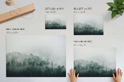 Plakatas Migloti miškai, alsuojantys ramybe ir paslaptimi