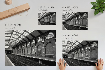 Plakatas Miesto architektūros elegancija, šviesa ir šešėlis