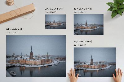 Spauda ant drobės Žiemos miesto vaizdingos architektūros harmonija