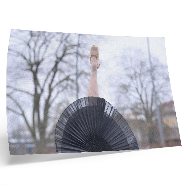Plakatas ant drobės Baletas, subtilumas, harmonija, vietinė atmosfera
