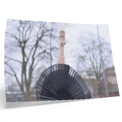 Plakatas ant drobės Baletas, subtilumas, harmonija, vietinė atmosfera
