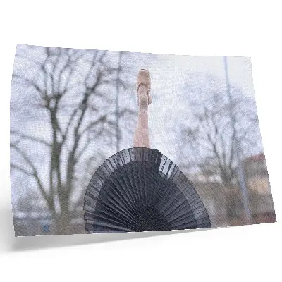 Baleto harmonija ir subtilumas plakatas ant drobės su vietine atmosfera
