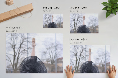 Plakatas ant drobės Baletas, subtilumas, harmonija, vietinė atmosfera