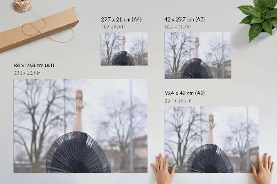 Baleto harmonija ir subtilumas plakatas ant drobės su vietine atmosfera