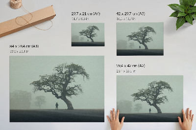 Spauda ant drobės Vienišo medžio rūkas tamsus siluetas atmosfera