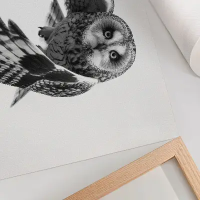 Plakatas pelėdos skrydžio portretas su unikalia elegancija ir ramia atmosfera