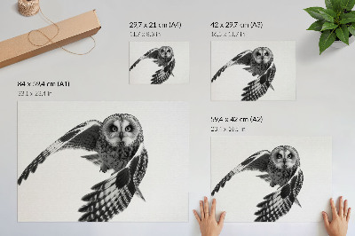 Plakatas Pelėdos skrydžio portretas, unikali elegancija, rami atmosfera