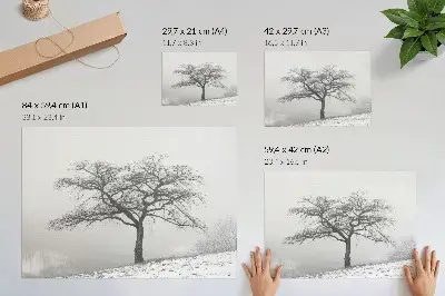 Plakatas ant drobės vienišas medis kaip žiemos ramybės ir minimalizmo harmonijos simbolis