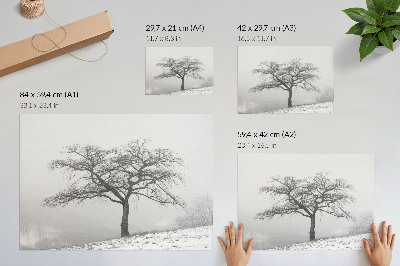 Plakatas ant drobės Vienišas medis žiemos ramybė minimalizmas harmonija