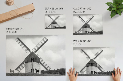 Plakatas ant drobės Juodai baltas vėjo malūnas lauke su arkliais