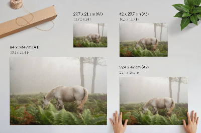 Plakatas Arklys paparčių fone miglotame miške
