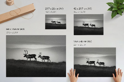 Spauda ant drobės Minimalistinė kompozicija ant kalvos su elniu