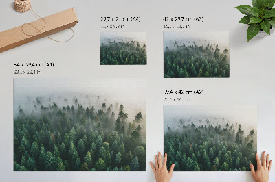 Plakatas Žalias miškas rūke, atmosferiškas ir paslaptingas