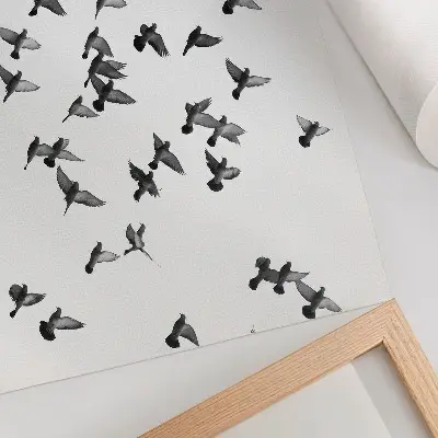 Plakatas paukščiai skrenda elegantiškos juodos ir baltos spalvų harmonijos