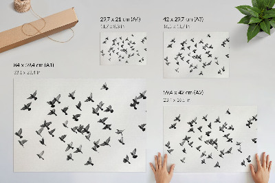 Plakatas Paukščiai skrenda Elegantiškos juodos ir baltos harmonijos