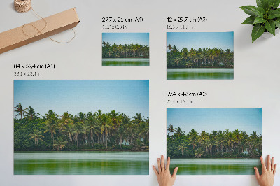 Plakatas Tropinės palmės, ramus vanduo, harmoningas dangus