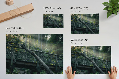 Plakatas Medinis tiltas tarp žalumos ir saulės šviesos