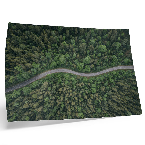 Plakatas Žalias miškas, serpantinis kelias, rami atmosfera