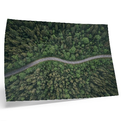 Plakatas Žalias miškas, serpantinis kelias, rami atmosfera