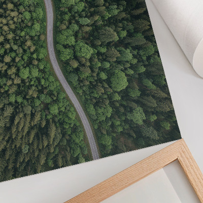Plakatas Žalias miškas, serpantinis kelias, rami atmosfera