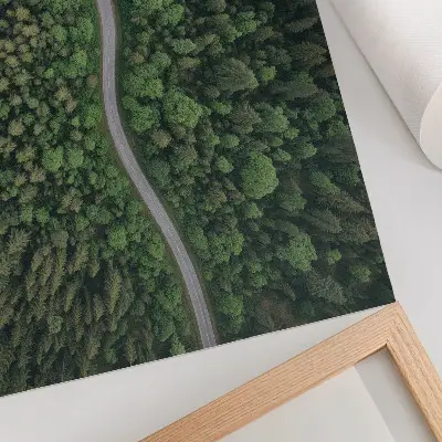 Plakatas žalias miškas su vingiuotu keliu ir rami atmosfera
