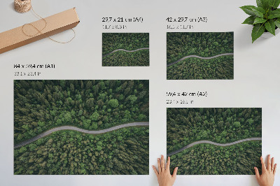 Plakatas Žalias miškas, serpantinis kelias, rami atmosfera