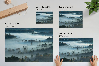 Plakatas ant drobės Žali medžiai rūke, rami atmosfera, prislopintos spalvos