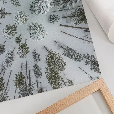 Spauda ant drobės žiemos miško ramybė minimalizmo stiliumi