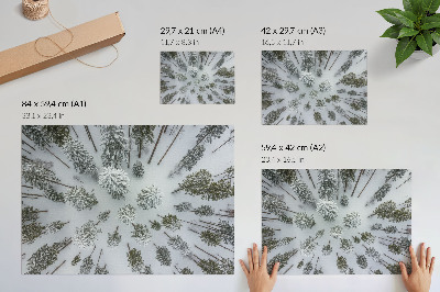 Spauda ant drobės Žiemos miško ramybė minimalizmas natūralumas